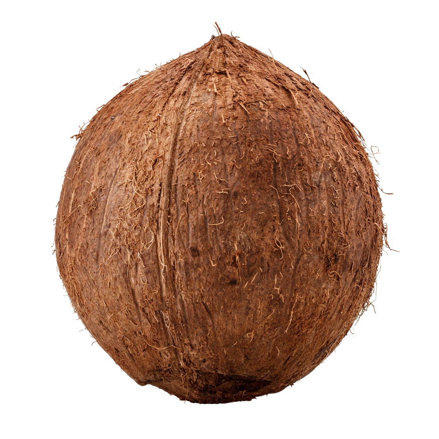Coconut Per Piece