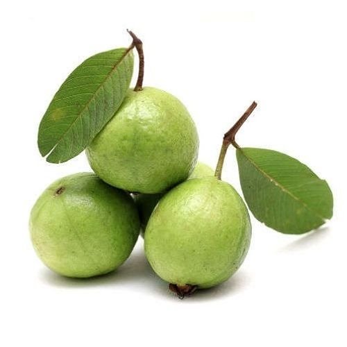 Guava Fresh (Amrud) Imported