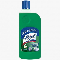 Lizol Disinfectant Surface & Floor Cleaner 500ml