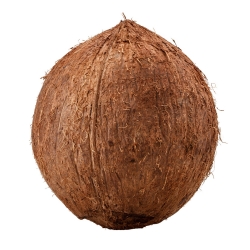 Coconut Per Piece