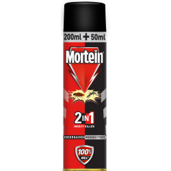 Mortein Dual All Insect Killer Spray 250ml