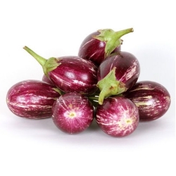 Brinjal Kateri Small