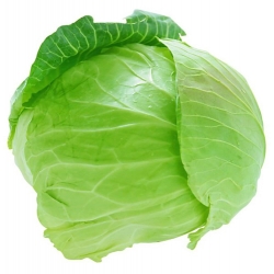 Cabbage Fresh ( Patta Gobhi )