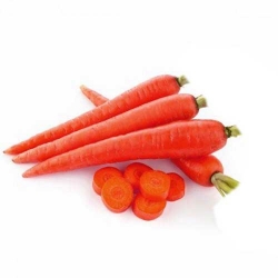 Carrot Ooty (Gajar)