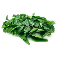 Curry Leaves Fresh