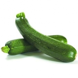 Zucchini Green