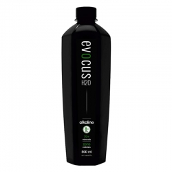 Evocus Alkaline Minerals Water 500ml