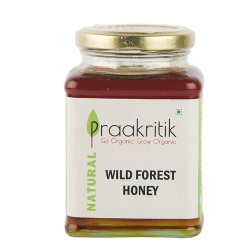 Praakritik Organic Wild Forest Honey 500g