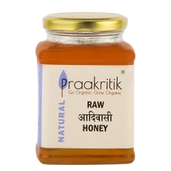 Praakritik Organic Natural Adivasi Honey 500g